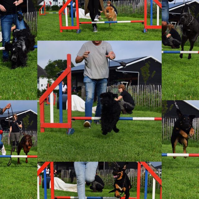 En in actie